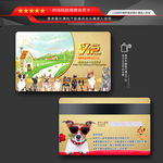 宠物VIP