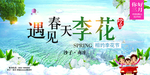 春游旅游海报宣传景区李花