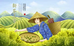 新茶上市