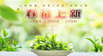 春茶上市