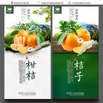 沃柑