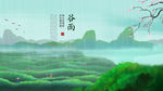 谷雨采茶