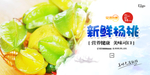 杨桃