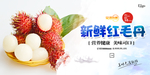 红毛丹