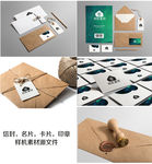 信封名片卡片印章样机素材