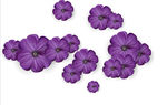 春色满园春天紫色花卉花朵设计素