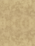皮纹