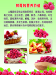 红莓