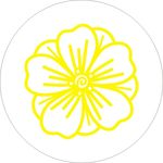 花瓣