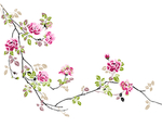 古典花卉图案