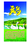 鹅