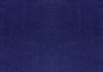 皮纹
