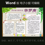 word版电子小报数学家华罗庚