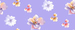 服装花型（分好色文件）