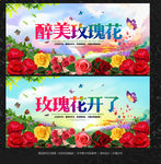 玫瑰花