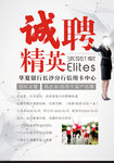 诚聘精英