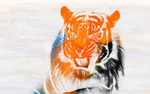 抽象油画