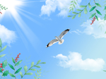 蓝天白云