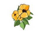 花