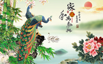 孔雀图