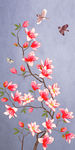 花鸟
