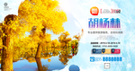 胡杨林