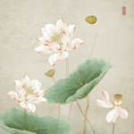 荷花