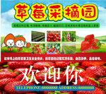 绿色草莓