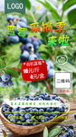 蓝莓采摘海报