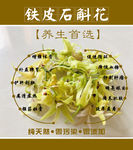 铁皮石斛花