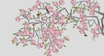 工笔花鸟