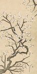 工笔花鸟