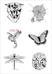 黑白几何线条抽象卡通动物插画