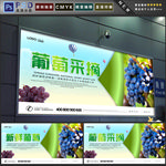 葡萄采摘