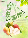 蜜梨