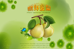 蜜梨