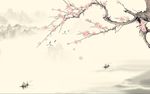 花卉