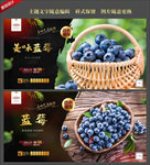 蓝莓