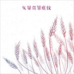 手绘卡通小麦麦穗底纹边框线描麦