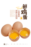 鲜鸡蛋