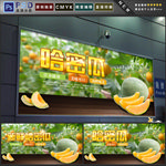 哈密瓜