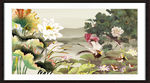 国画荷花