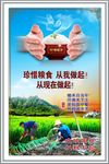 珍惜粮食