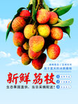 新鲜荔枝