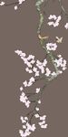 花鸟
