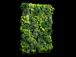 植物墙3D模型