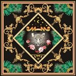 方巾 丝巾