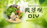 微景观DIY