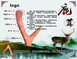 鹿产品