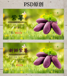 紫薯